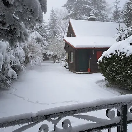 Waldhaus St. Egidien * Altenberg (Erzgebirge)